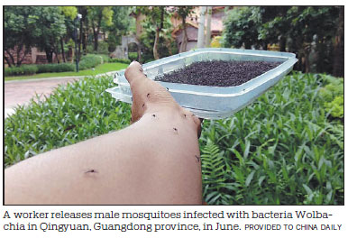 'Army' wins war against mosquitoes