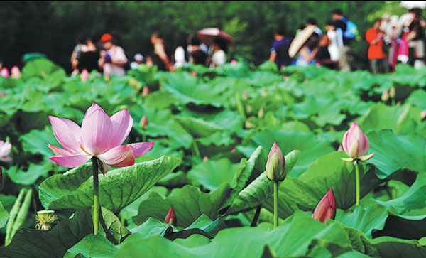 Parks help lift the spirits of city dwellers