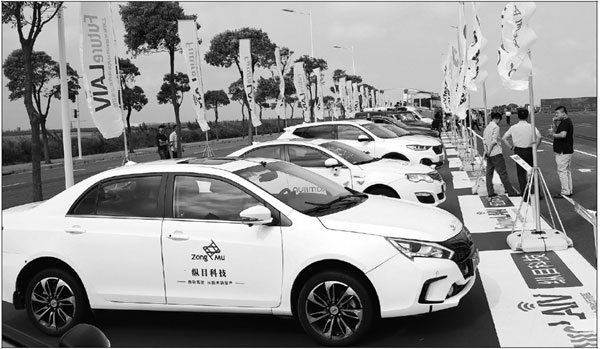 Lingang takes the high road to fast growth