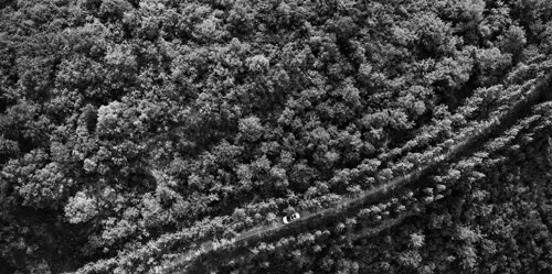 Desert reclamation builds a green and pleasant land
