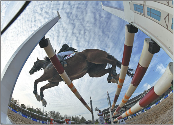 Equestrian sector leaps onto global stage