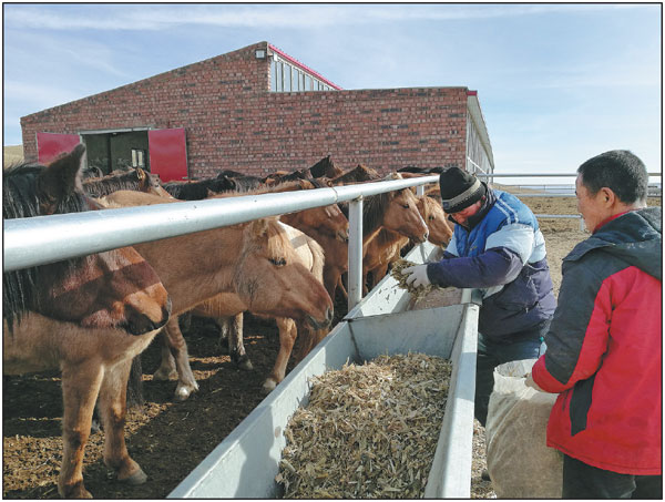 Inner Mongolia boosts poverty relief efforts