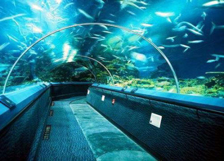 上海海洋水族馆是一座具国际一流水准的现代化大型海洋水族馆