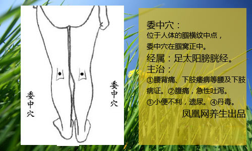 常“搓”这五处 让男人永葆精力