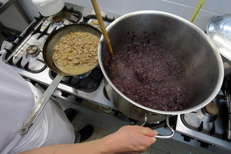 Goose foie gras, a Hungarian delicacy