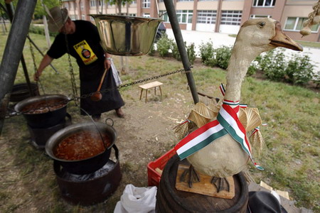 Goose foie gras, a Hungarian delicacy