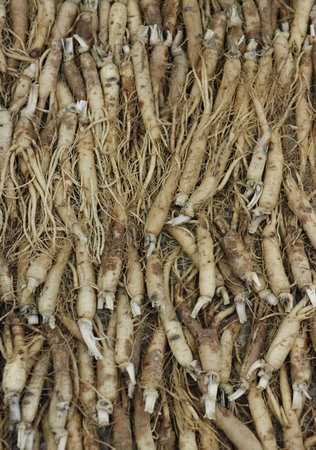 Ginseng, a South Korean treasure