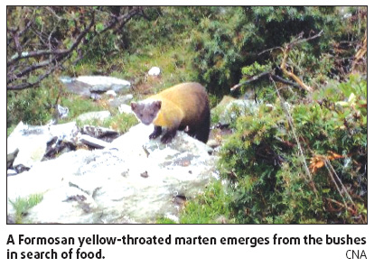 Deadly storm creates new Garden of Eden for wildlife