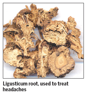 Toxic herbal medicine traced to mainland