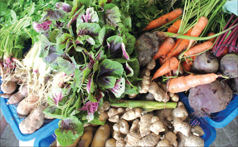 Organic lifeline