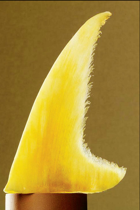 Myths of the miracle food fit for an emperor