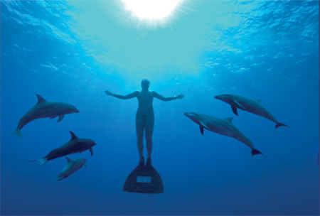 More than just saving the whales