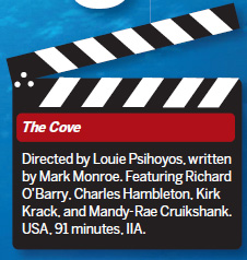 More than just saving the whales