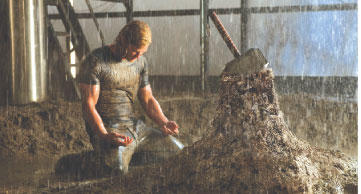 If I had a hammer