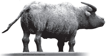 IPO bulls slowing to a canter