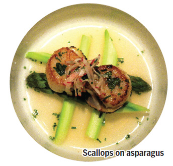 Fresh green taste of asparagus with sweet tender sea scallops
