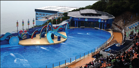 Curtain call for dolphin shows