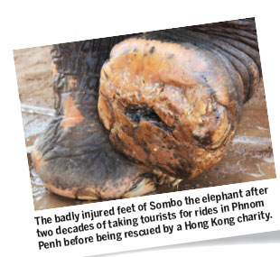 Long Walk to Freedom