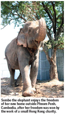 Long Walk to Freedom