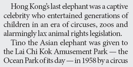 Sad End for Hong Kong's Last Elephant