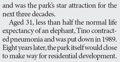 Sad End for Hong Kong's Last Elephant