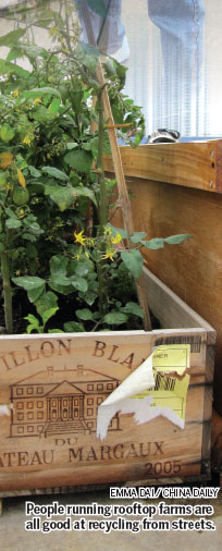 Hopes for a high harvest