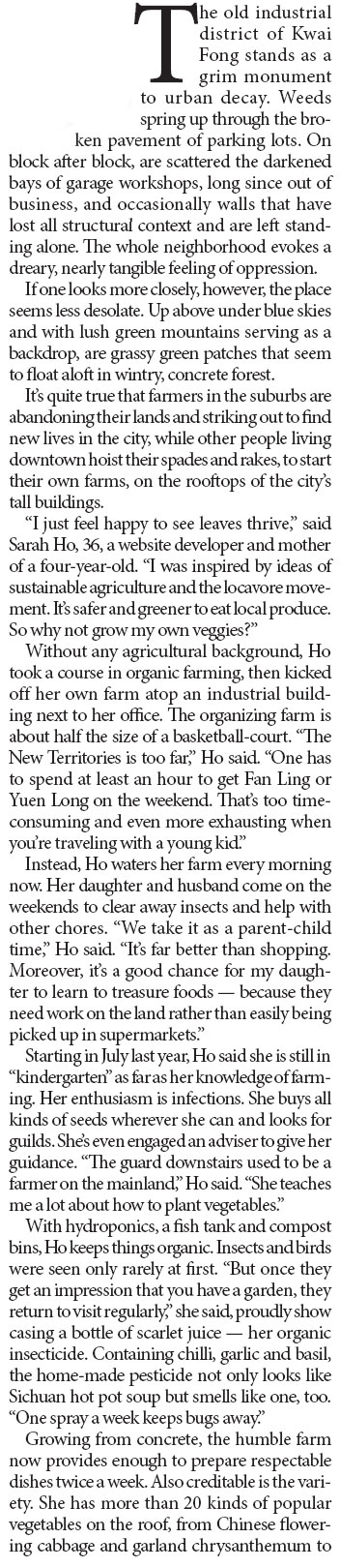 Hopes for a high harvest