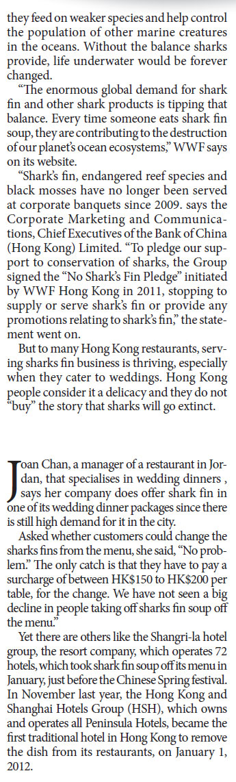 Fleeing from the shark's fin