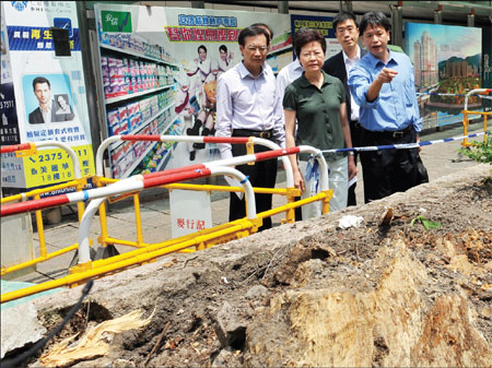 Negligence blamed for tree collapse