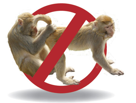 Putting the brakes on monkey business