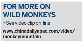 Putting the brakes on monkey business