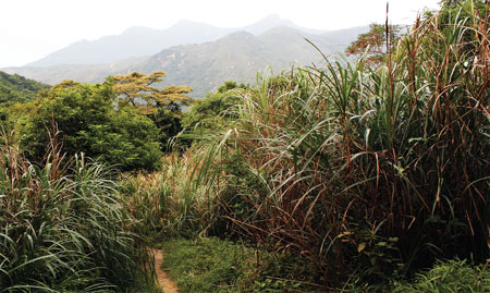 Trekking ancient pathways