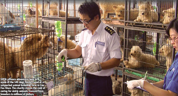 Stuck in the dog house|HongKong Animal Righ