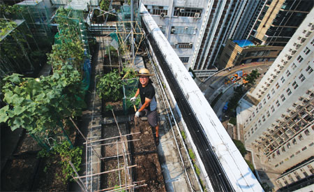 Gardens above the chaos