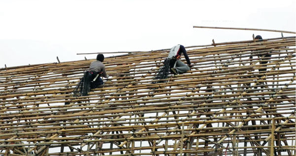 The bamboo ladder to the sky