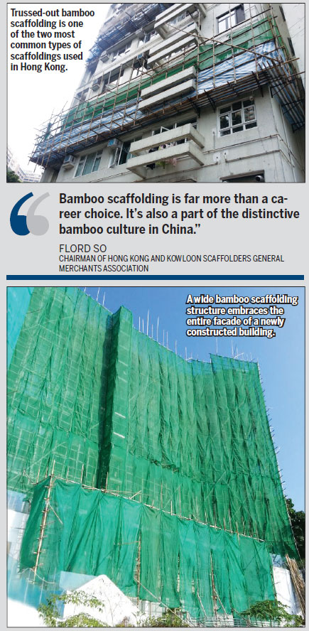 The bamboo ladder to the sky