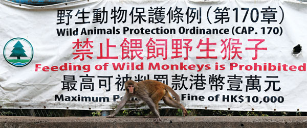 Keeping monkey business under control