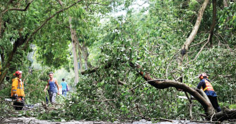 HK recovers quickly from typhoon