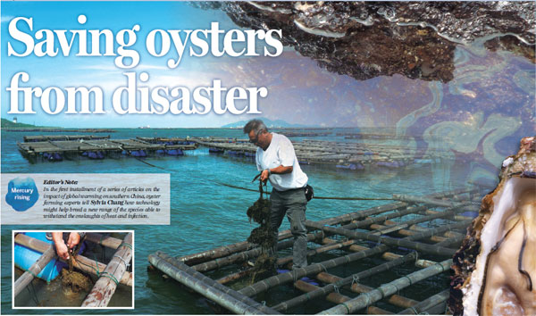 Saving oysters from disaster