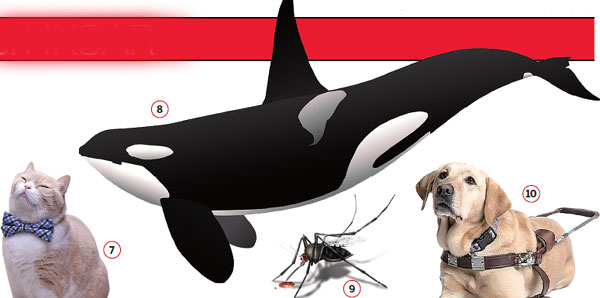 20 Beasts who made us care and dare