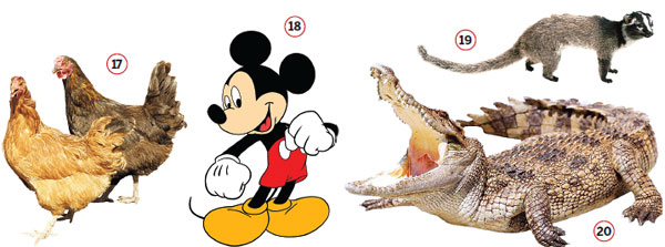 20 Beasts who made us care and dare