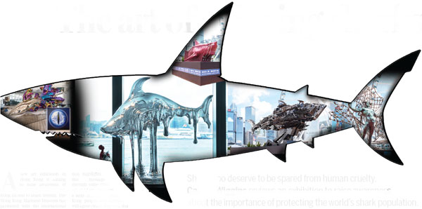 The art of loving sharks