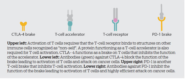New cancer treatment can save lives, at a cost