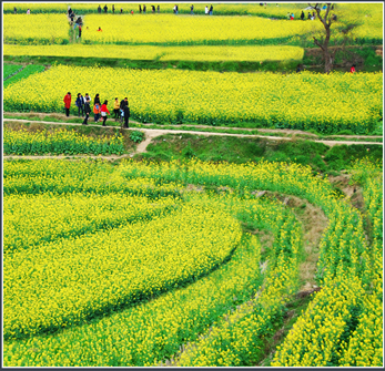 Scenery photos of Fuzhou