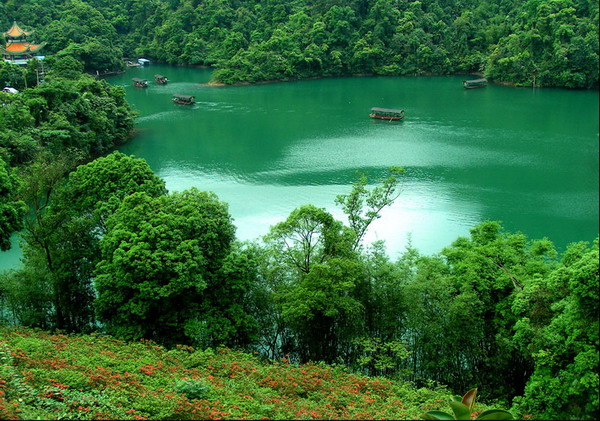 Dinghu Mountain National Nature Reserve