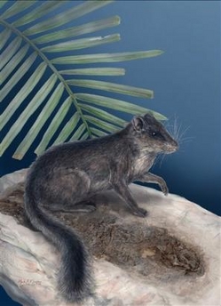 “绝迹”1100万年物种惊现老挝
