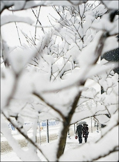 民生百态：美中西部暴风雪下的快乐与痛苦