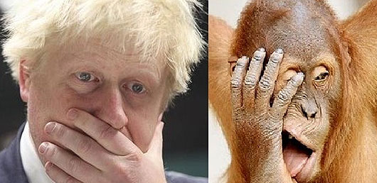 英报拿伦敦市长开涮：他多像只红毛猩猩！