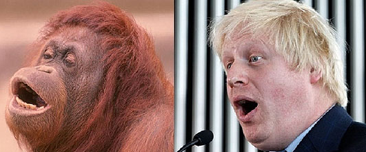 英报拿伦敦市长开涮：他多像只红毛猩猩！