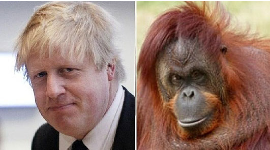 英报拿伦敦市长开涮：他多像只红毛猩猩！